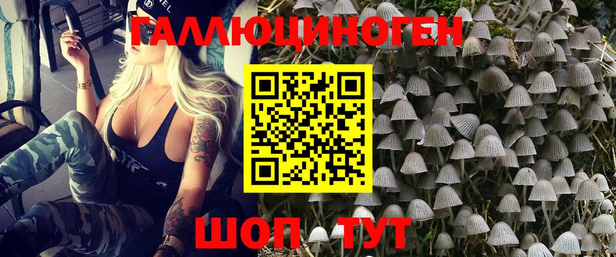 Энгельс  Галлюциногенные грибы Psilocybine cubensis  Вход с VPN 
