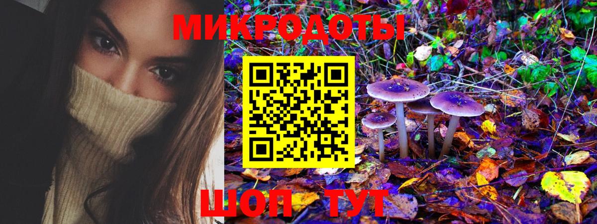 Псилоцибиновые грибы Magic Shrooms Энгельс